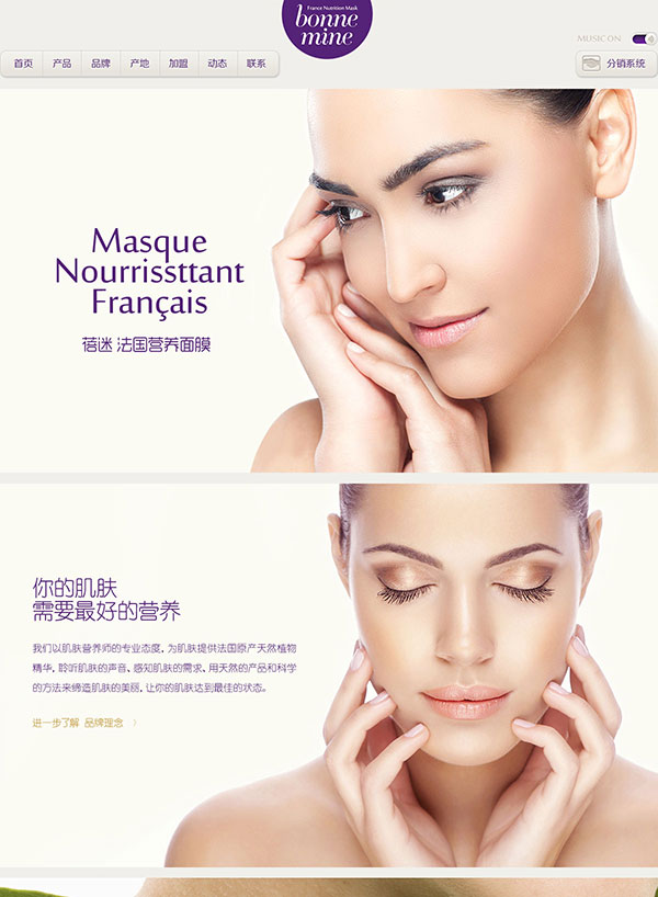 上海三泰美容用品營銷型網站案例