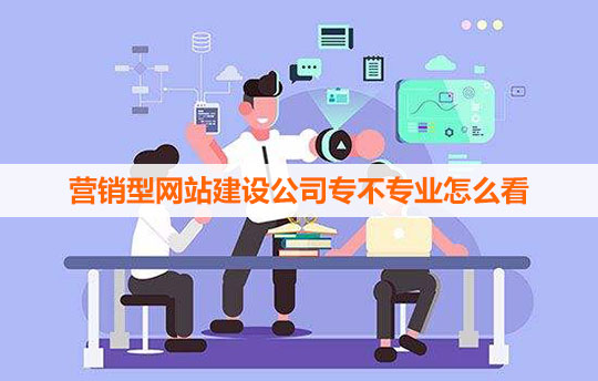 營銷型網站建設公司一定要看其專業性